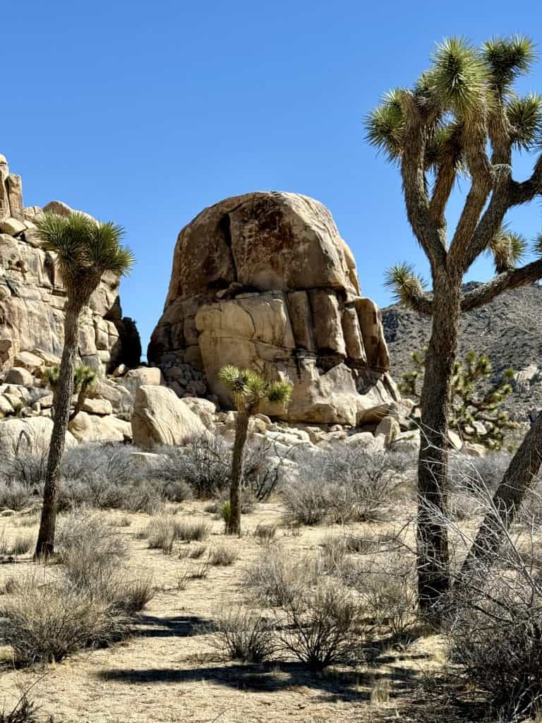 Storm Trooper Mask Rock Joshua Tree