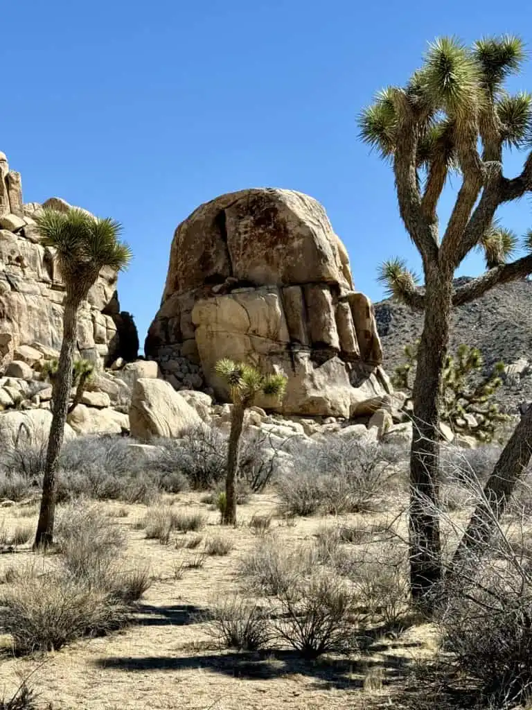 Joshua Tree with Kids- When to Visit, Things to do, Best Hikes, & More! 14 Storm Trooper Mask Rock Joshua Tree