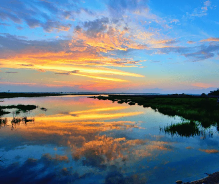  Assateague Island is home to some of the best East Coast beach camping