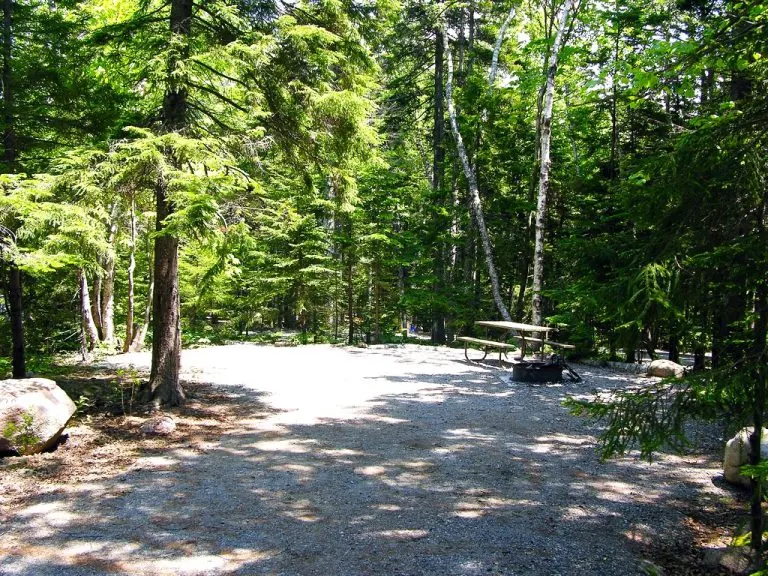 Blackwoods Campground in Acadia National Park
