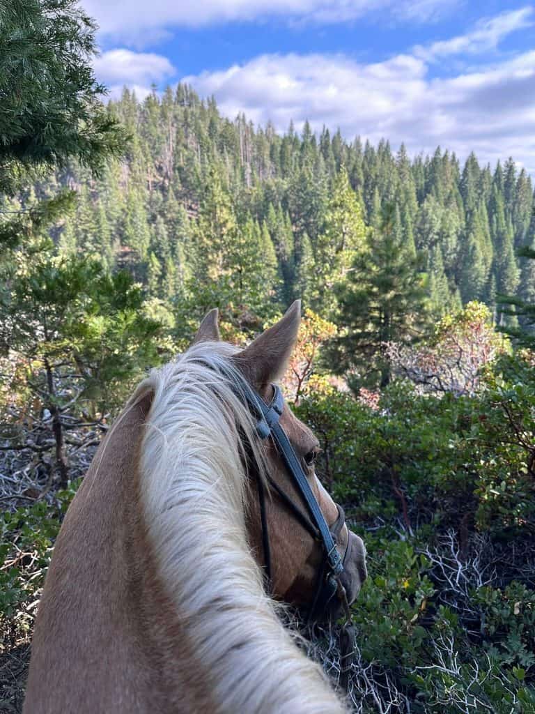 Yosemite on horseback