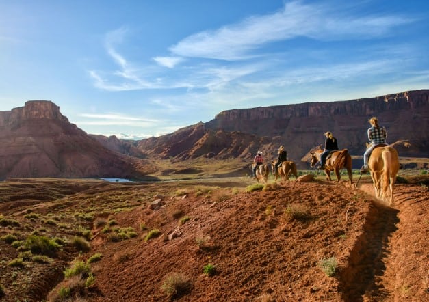 Moab horses