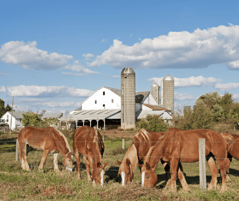 things to do in Pennsylvania with kids include visit Amish Country