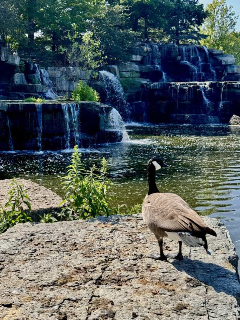 Bay Beach Wildlife Sanctuary