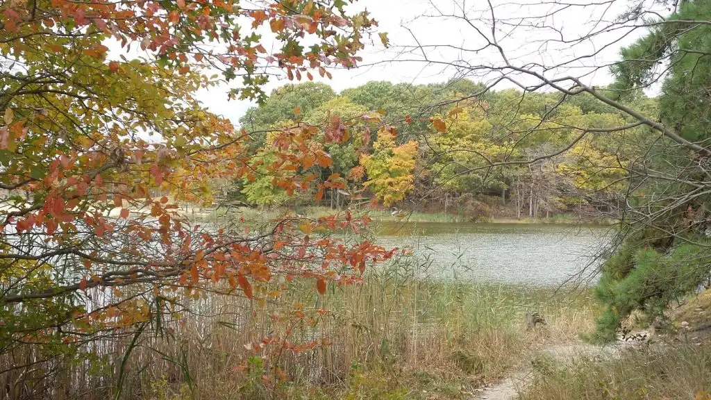 13 Great Places to Enjoy New Jersey Fall Foliage 1