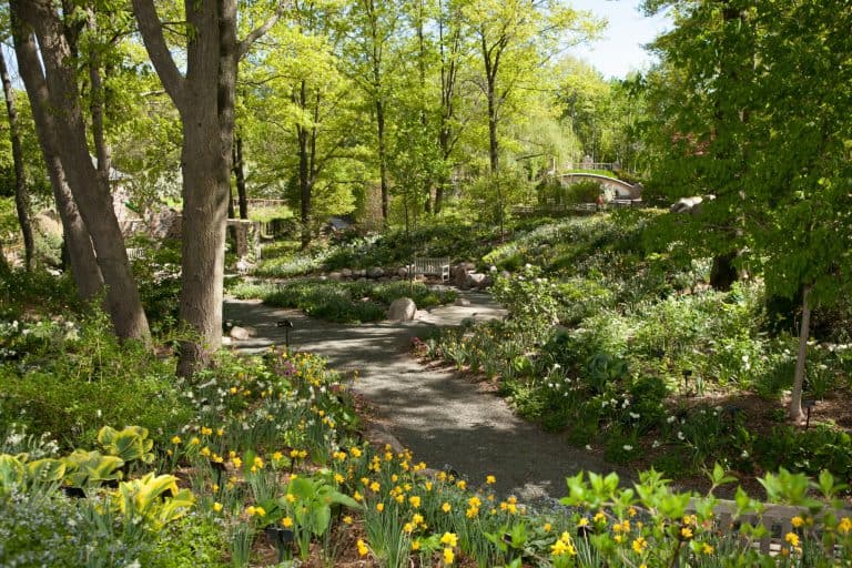 Green Bay Botanical Gardens