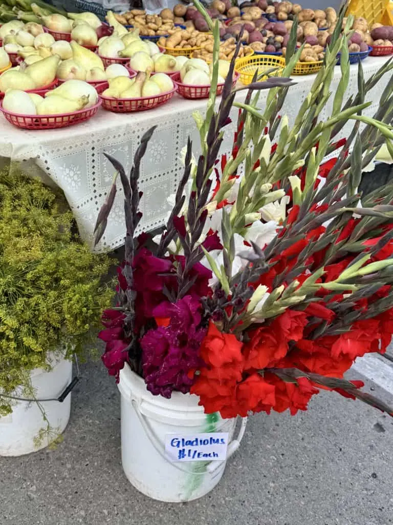 Green Bay Farmers Market