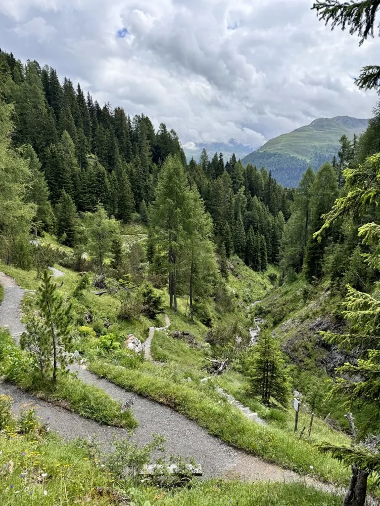 Schatzalp Alpine Garden