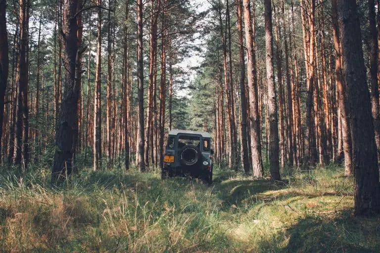 Overlanding in a Jeep