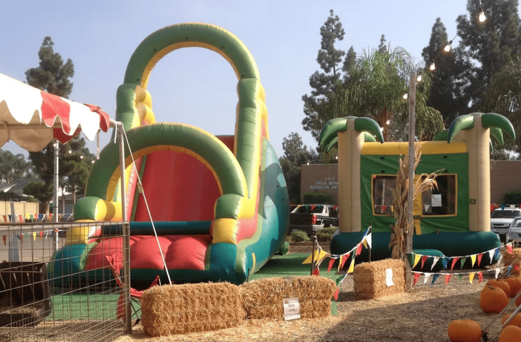 8 Great Pumpkin Patches in Orange County for 2025 1