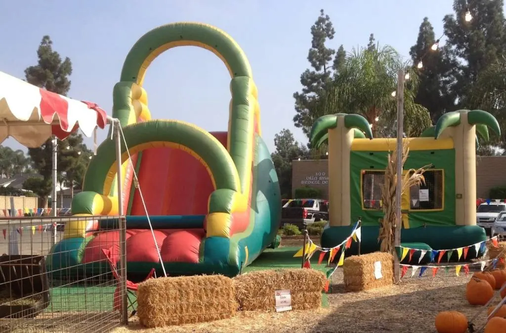 8 Great Pumpkin Patches in Orange County for 2025 8 8 Great Pumpkin Patches in Orange County for 2025 1