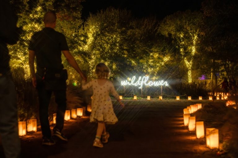 Luminations Lady Bird Johson Wildflower Center