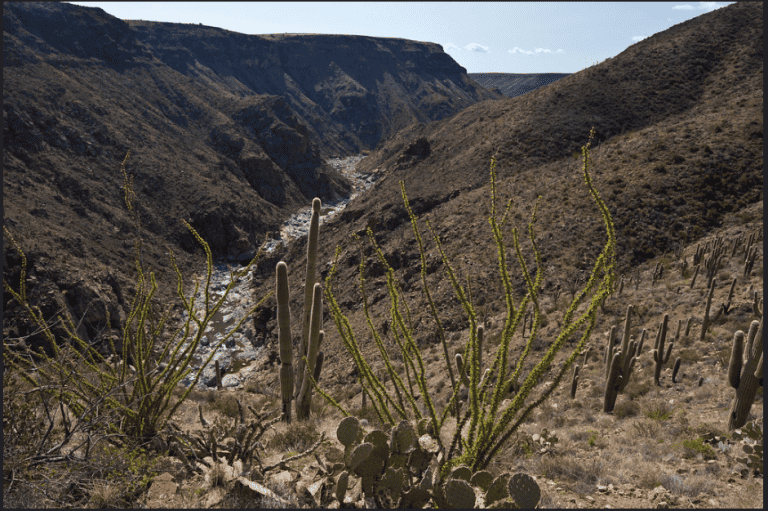 Agua Fria River