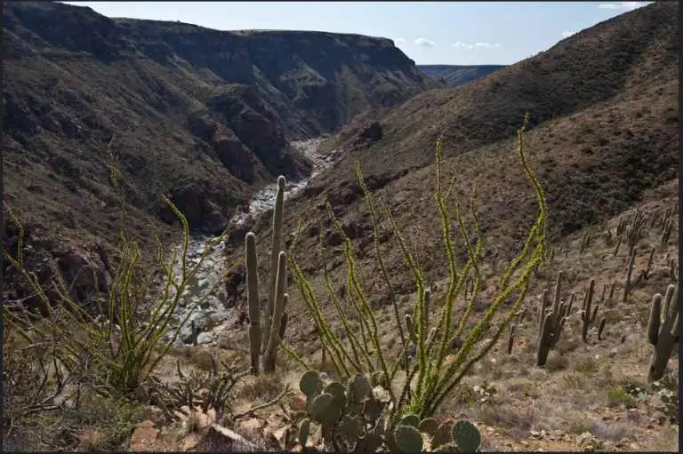 30 National Parks Near Phoenix 1 Agua Fria River
