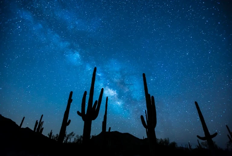 30 National Parks Near Phoenix 2 Milky Way view at the Sonoran Desert National Monument