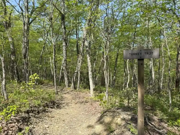 A visit to Brush Mountain Park is one of the best things to do in Blackburg, VA