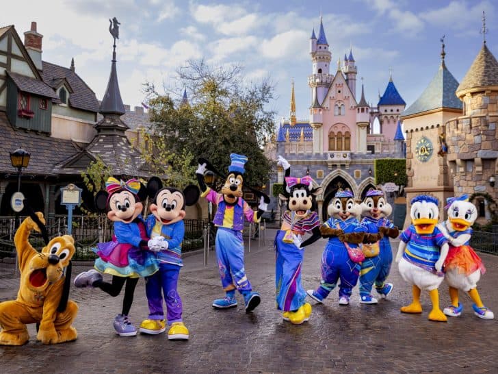 Disneyland 70