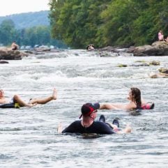 26 Family-Friendly Things To Do in Blacksburg, Virginia