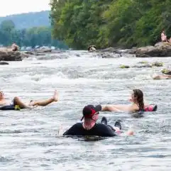 26 Family-Friendly Things To Do in Blacksburg, Virginia