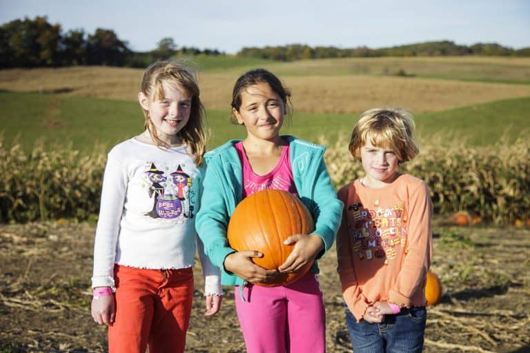 Sinkland Farm