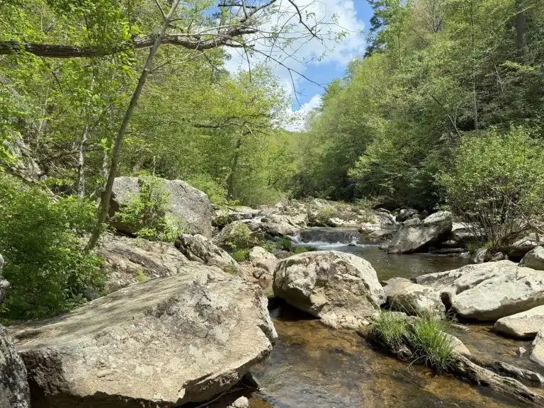 Bottle Creek Gorge Preserve is one of the fun things to do outside in Blacksburg