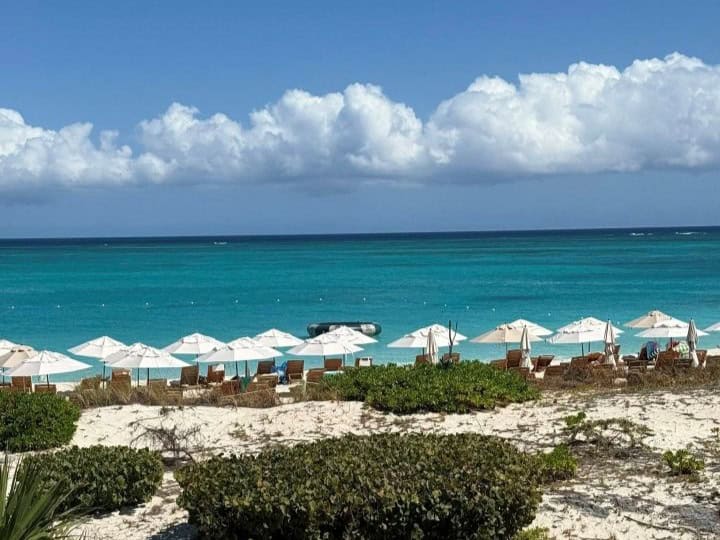Turks & Caicos Collection