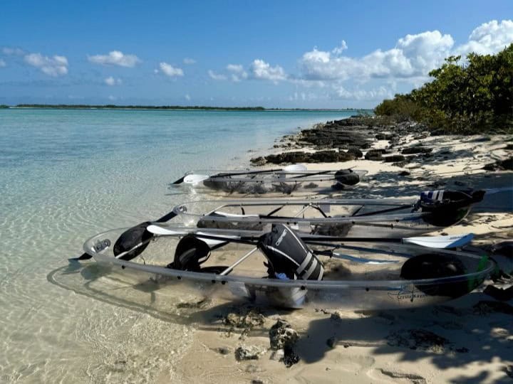 Eco-Tour to Iguana Island 