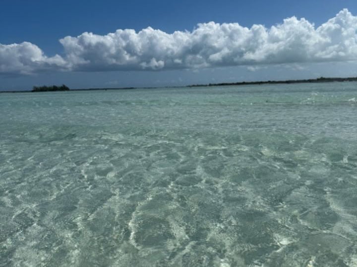 Water near Iguana Island