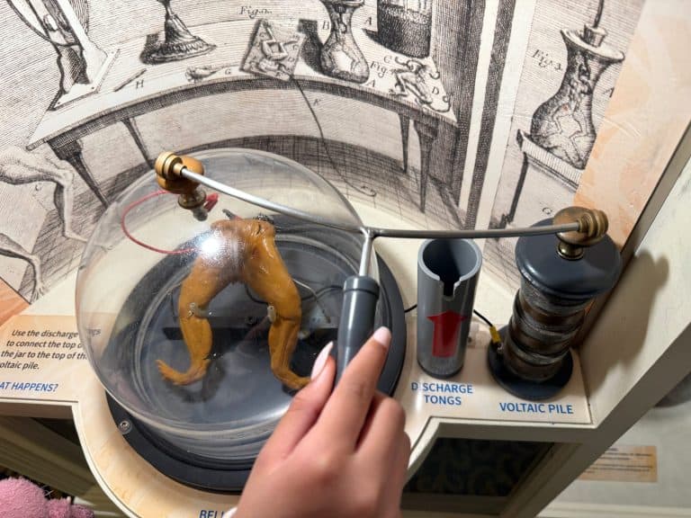 Exhibit at The Bakken Museum 