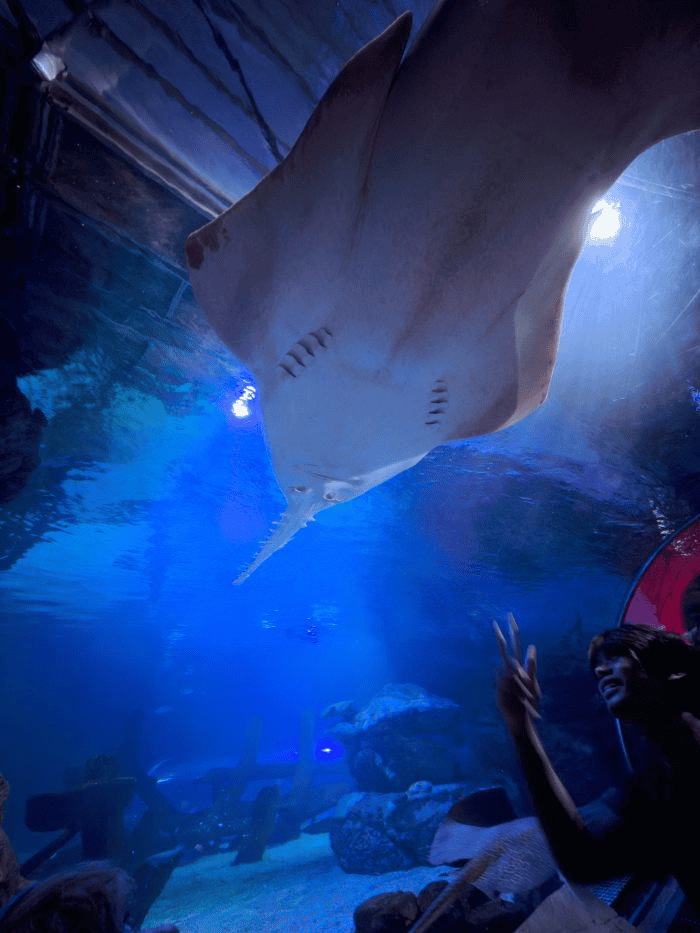 15 Best Things to do in Minneapolis with Kids (2025 Guide) 2